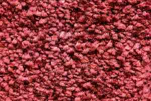 Ковролин AW Masquerade Morgana 19 фото  | FLOORDEALER